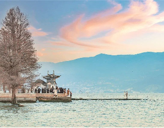跨越山海，看見生態友好的“模樣”